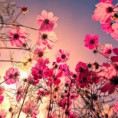 /album/fotogaleria/wh34-jpg/